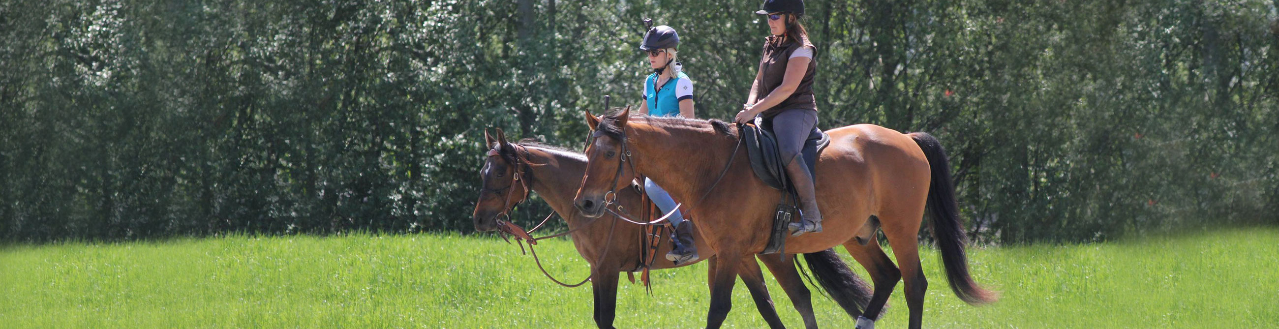 02 prestations equestres