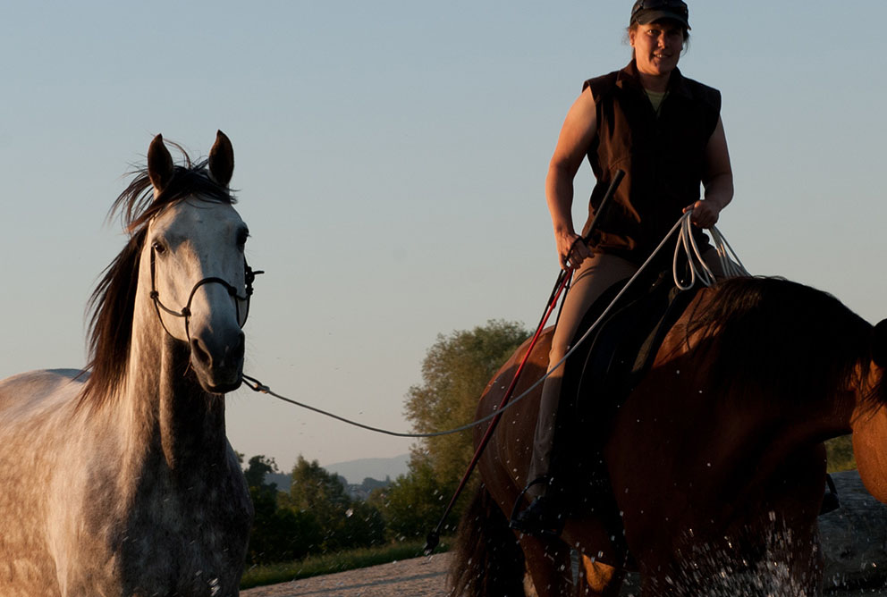 développement et formation du cheval méthode parelli carmen Zulauf