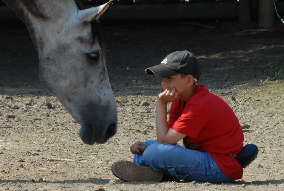 accompagnement enfants avec chevaux coaching enfants et adolescents chevaux suisse romande