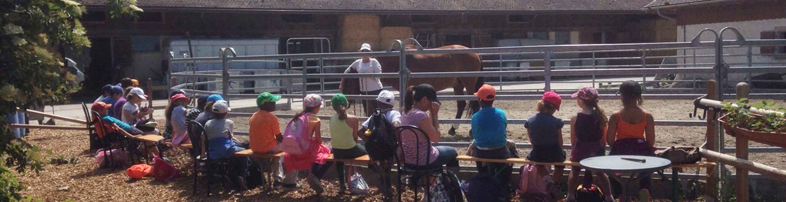 course écoles canton de vaud chevaux centre les dudes essertines sur rolle