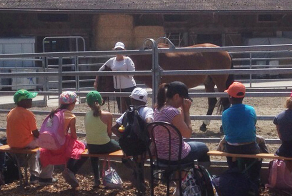 courses ecole et journee avec les chevaux essertines-sur-rolle les dudes