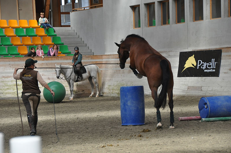 cours équitation pour enfants les dudes