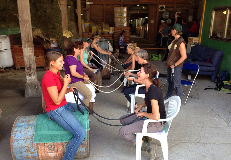camps pour adultes équitation